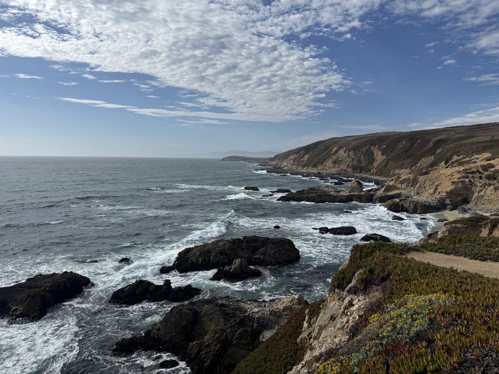 Bodega Head 海崖