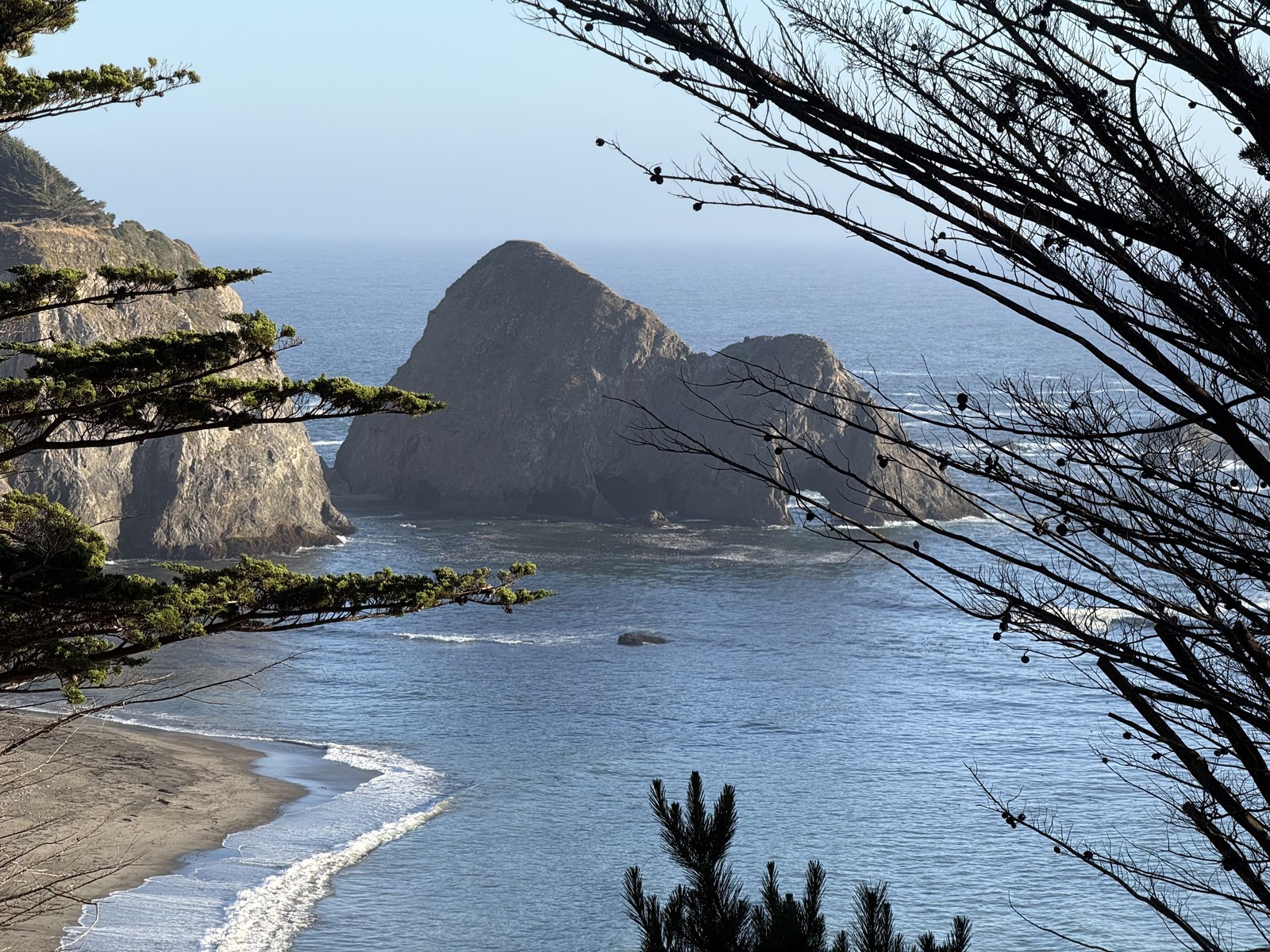海湾里几块巨大的海蚀柱,松枝框住画面