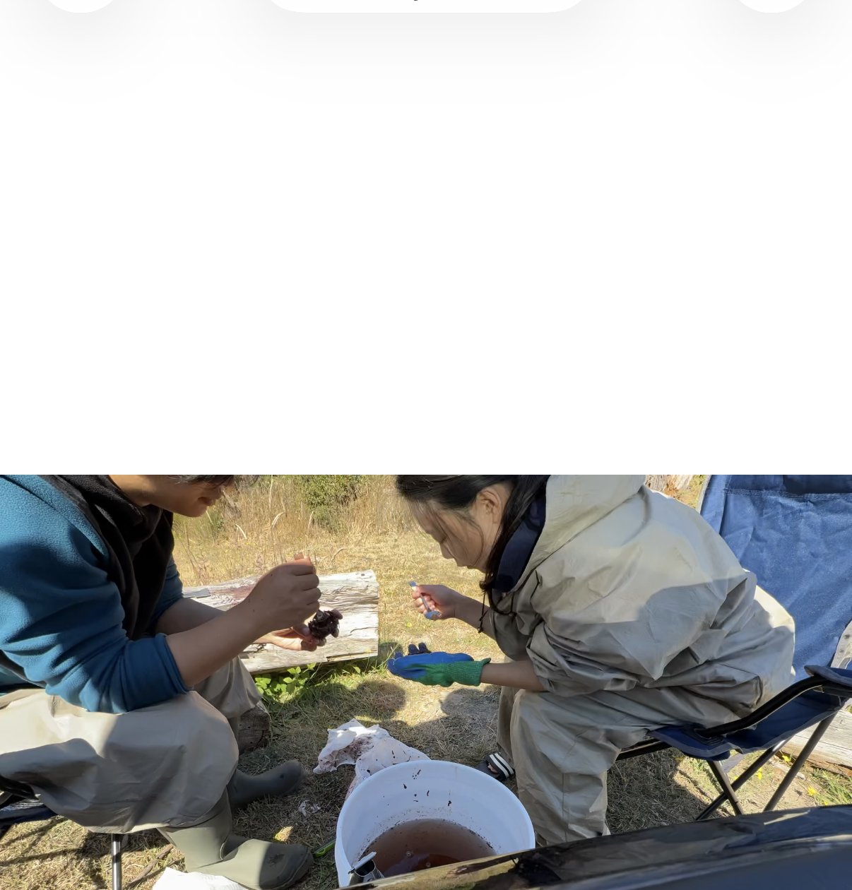 处理海胆