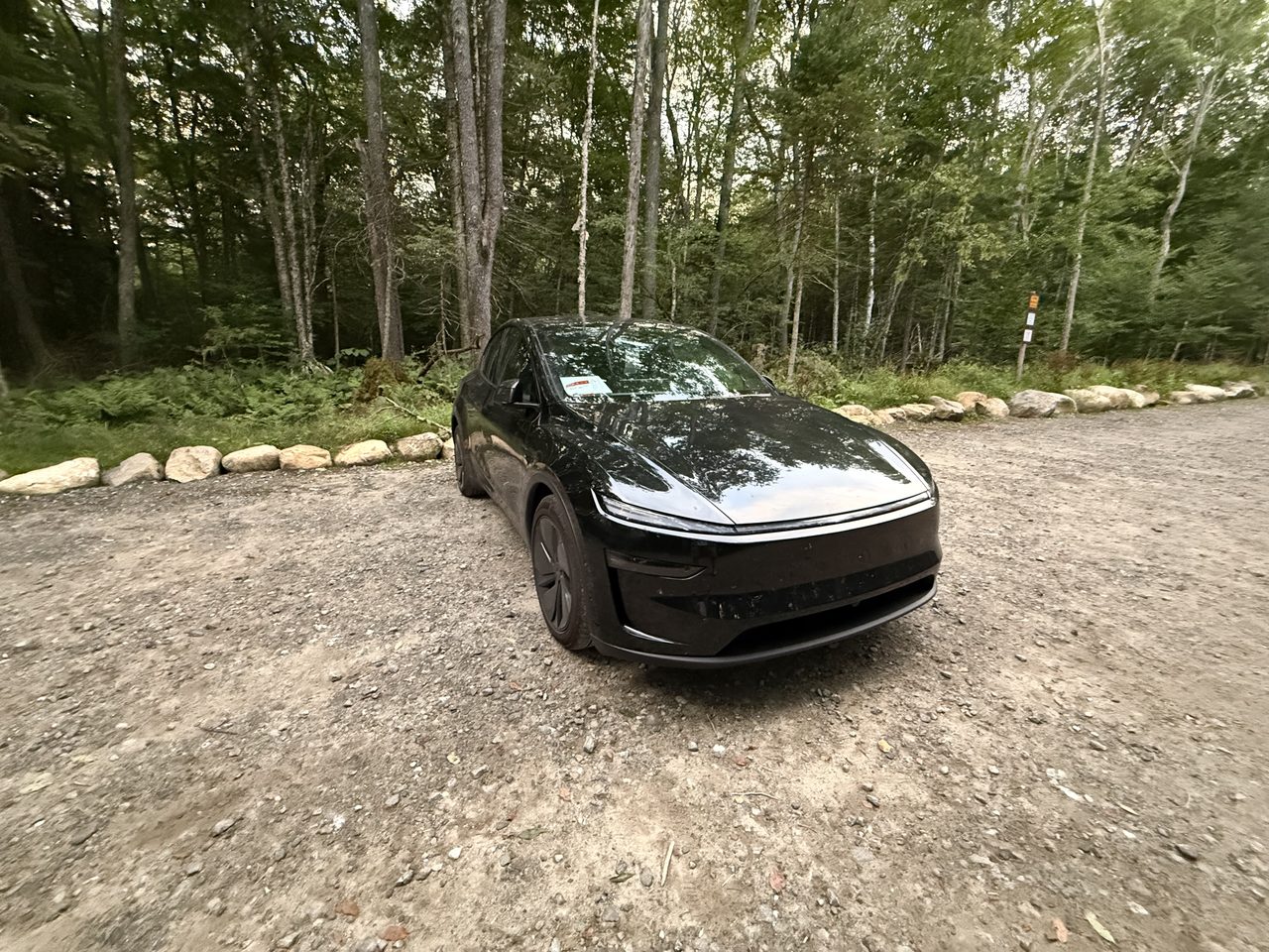 A black Tesla Model Y parked on gravel in a forest clearing at dusk.