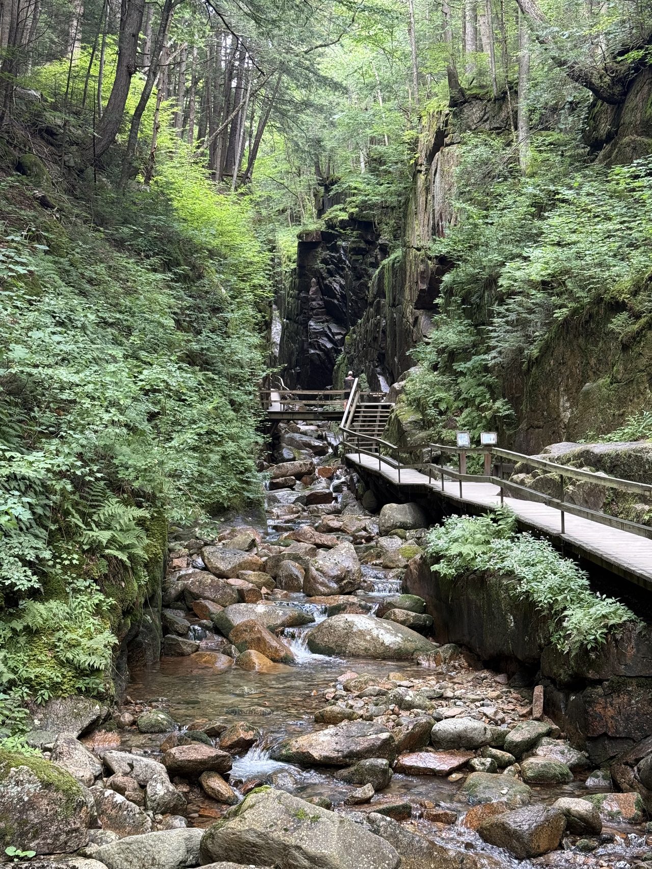 A wooden boardwalk climbing through a narrow mossy granite gorge with a stream below.