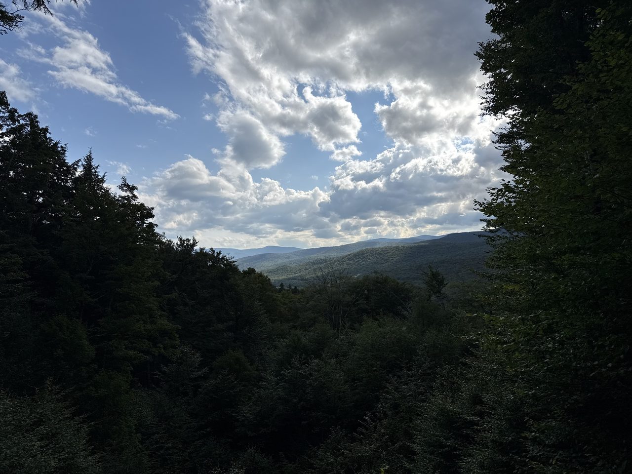 A view through trees over forested ridges under dramatic clouds.