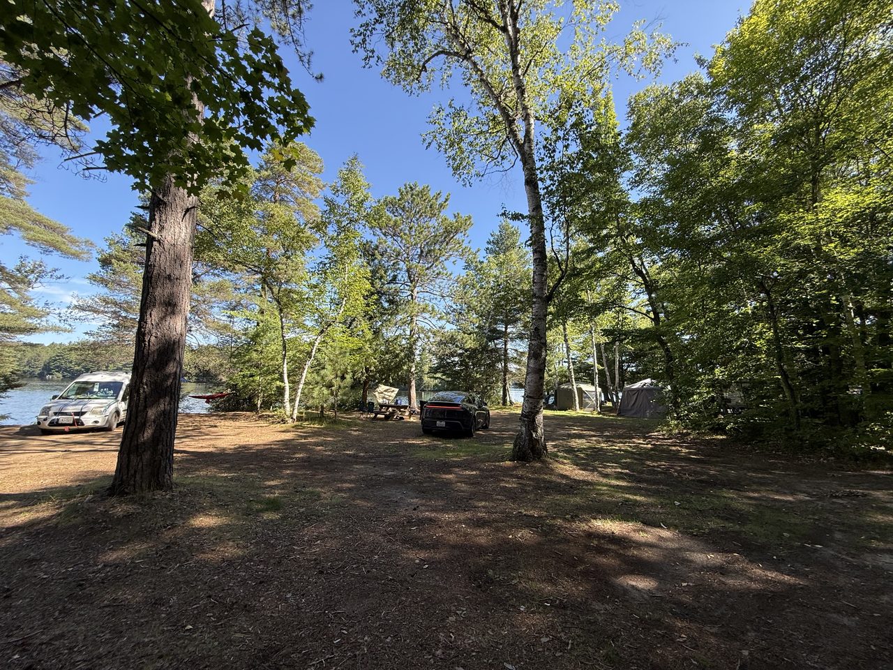 A sunlit lakeside campsite with birch trees, a parked black car and tents among pines.