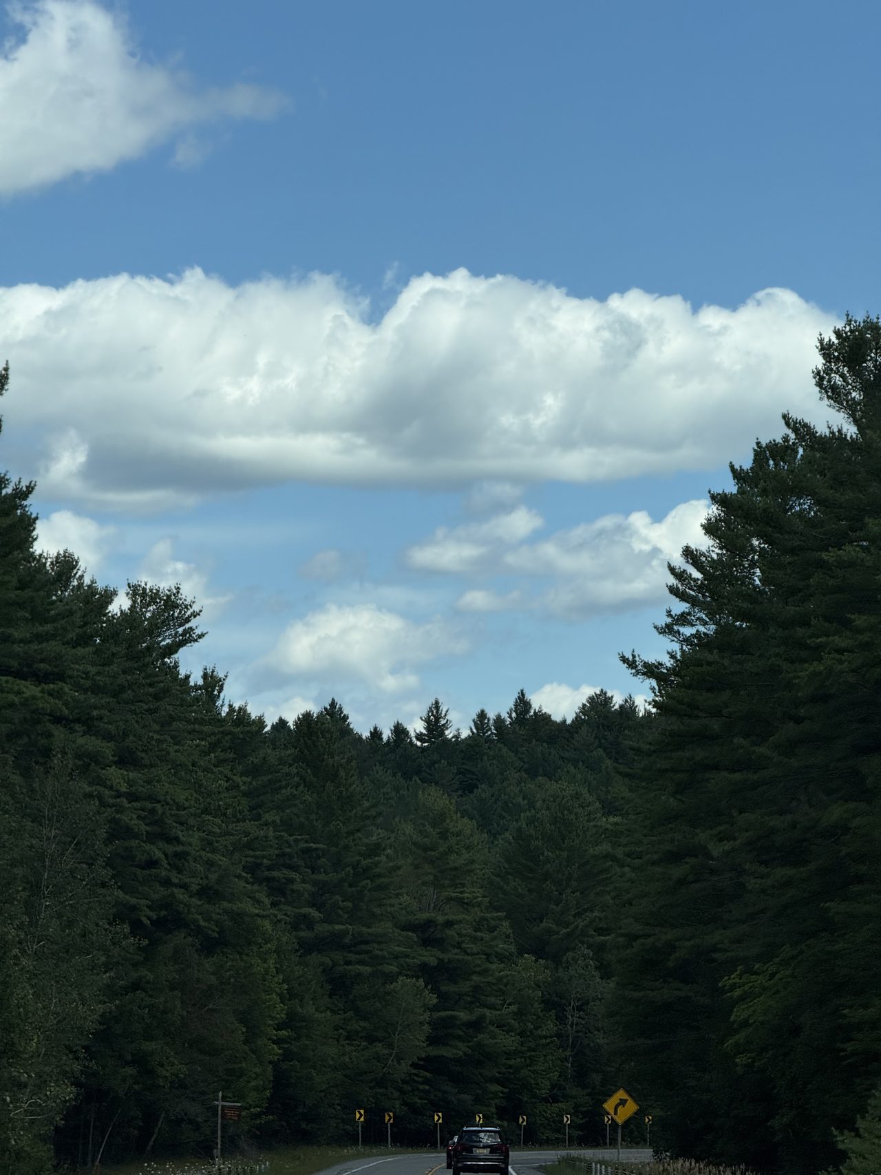 A two-lane road between pine forests under a long flat band of clouds.