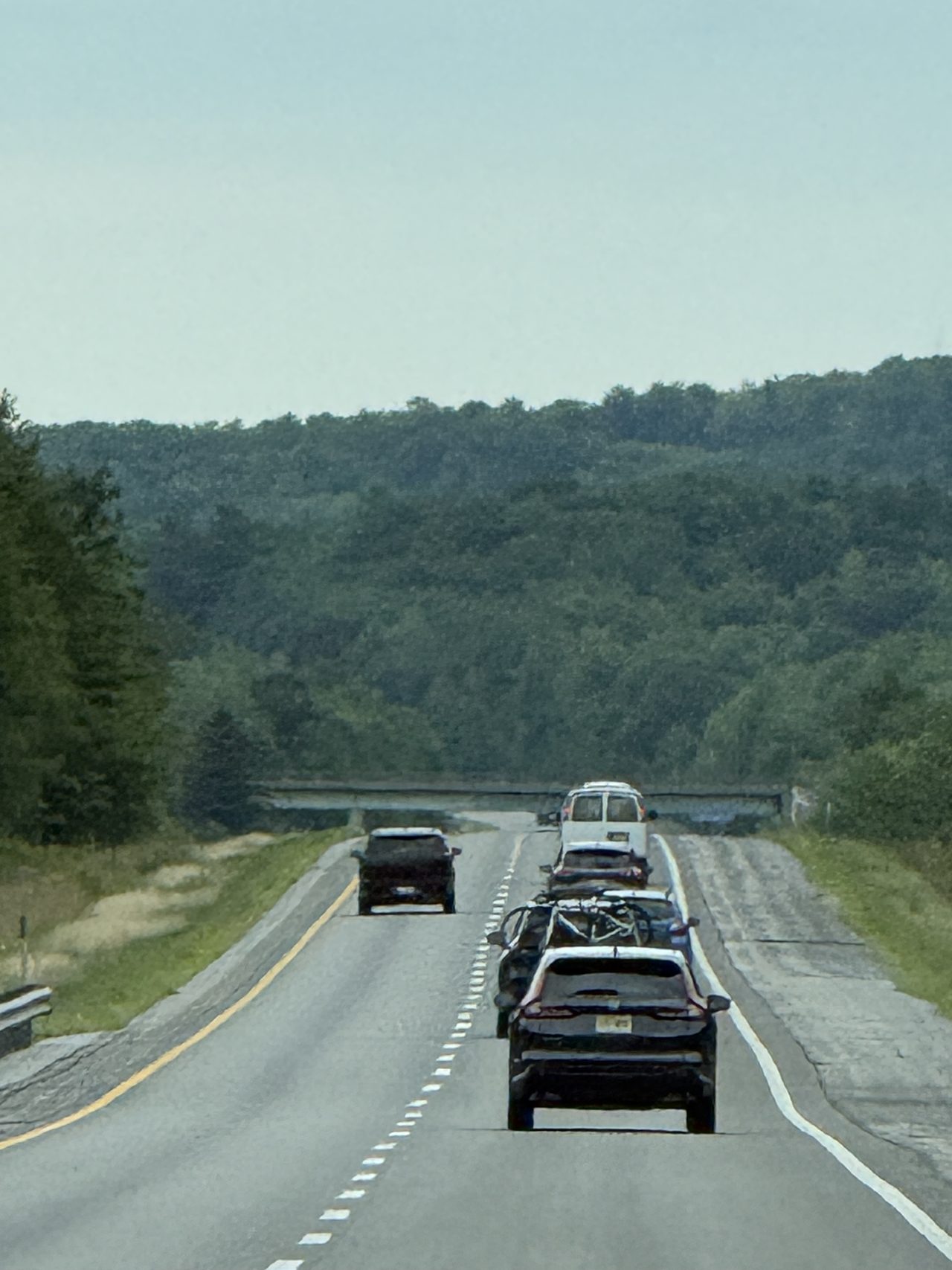 A rolling highway rising and falling through green forest.