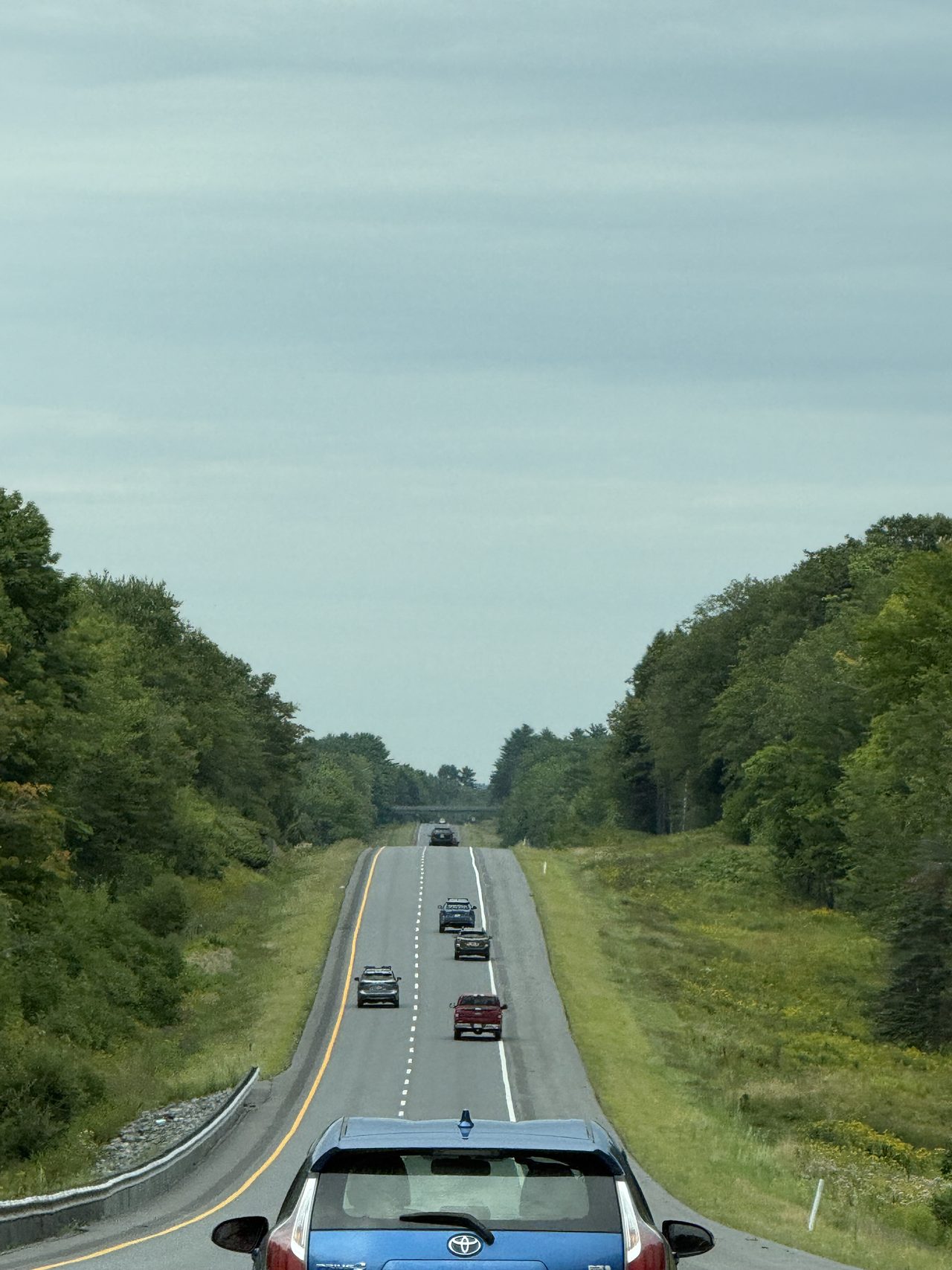 A highway rising and falling through forest with a line of cars ahead.