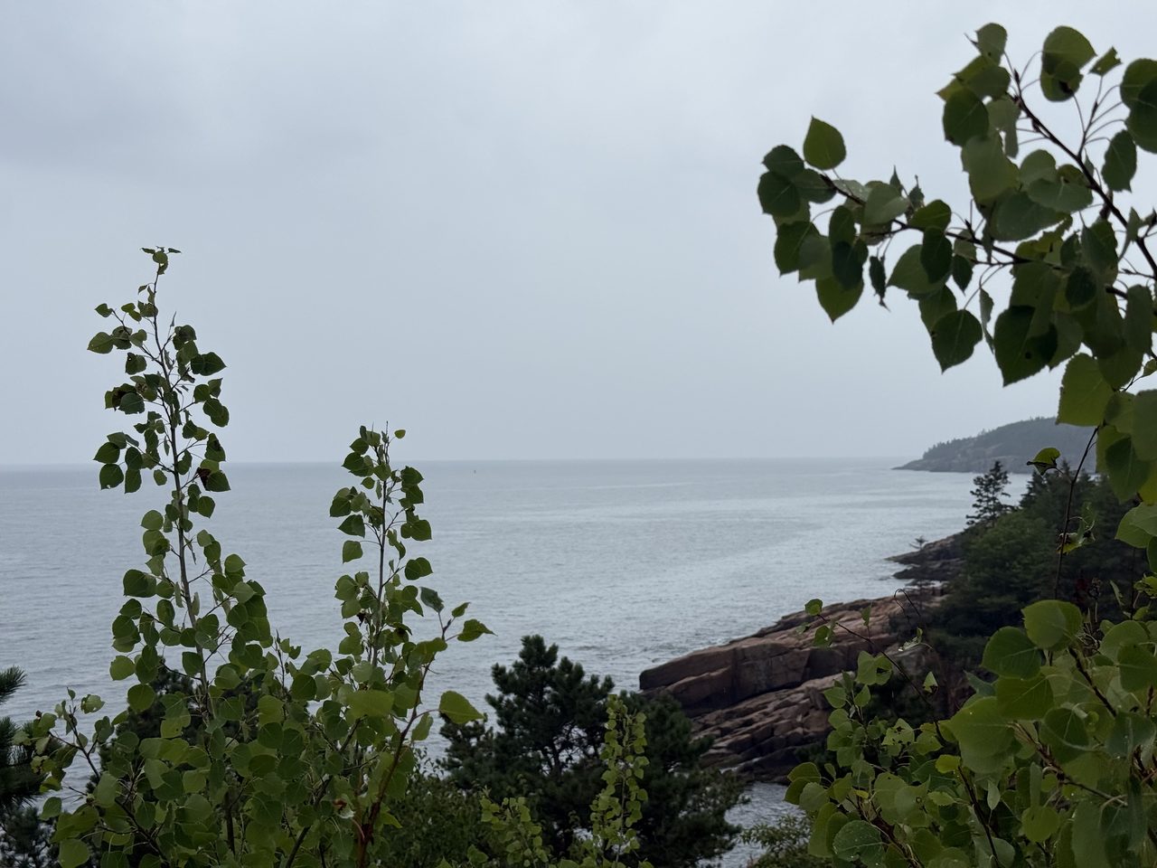 A misty rocky coastline with pink granite slabs and evergreens above grey water.