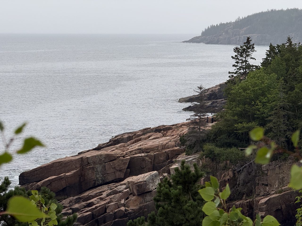 Pink granite ledges descending into calm grey sea with mist obscuring the far shore.
