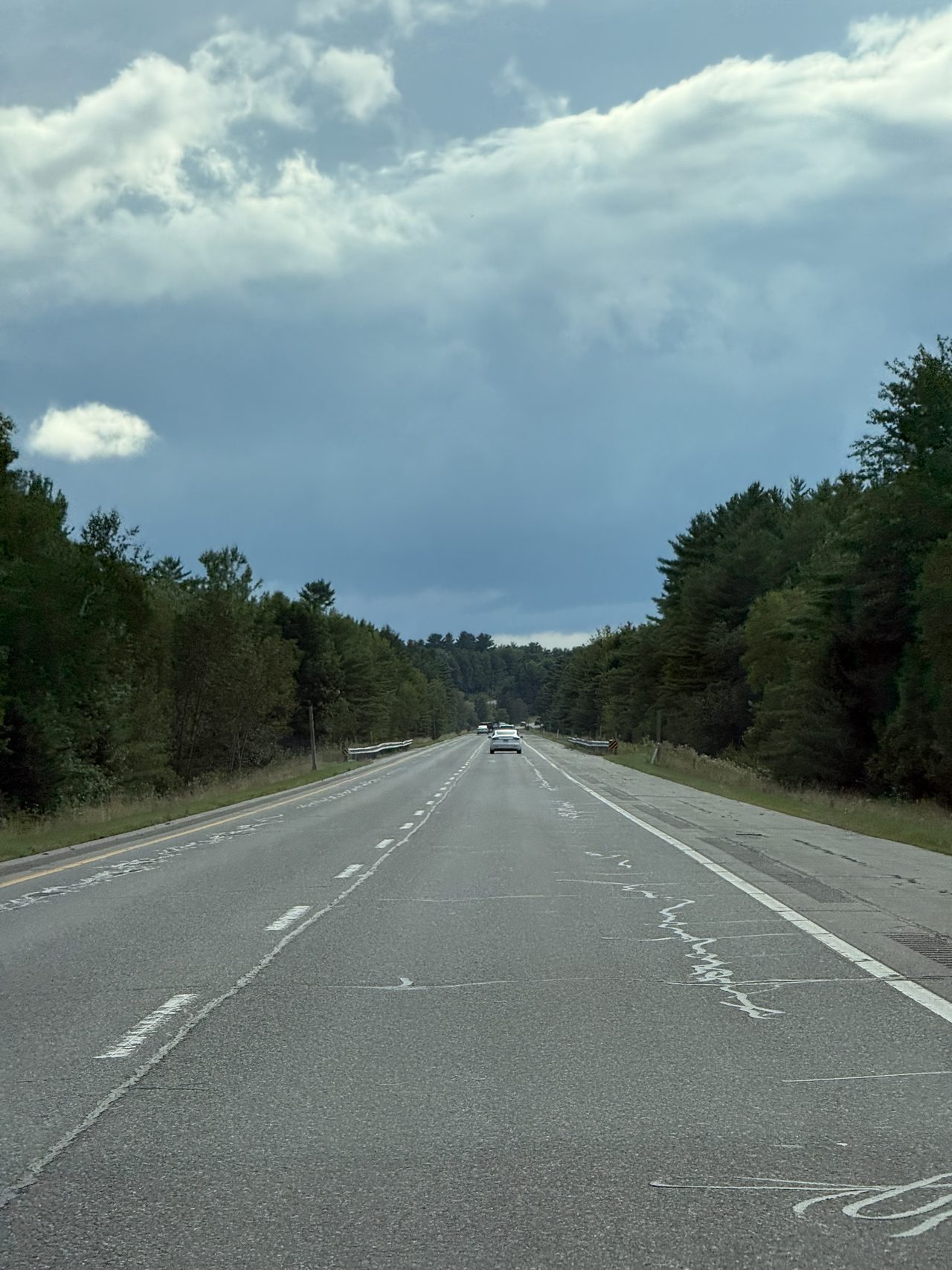A divided highway between pine forest under heavy dark clouds.