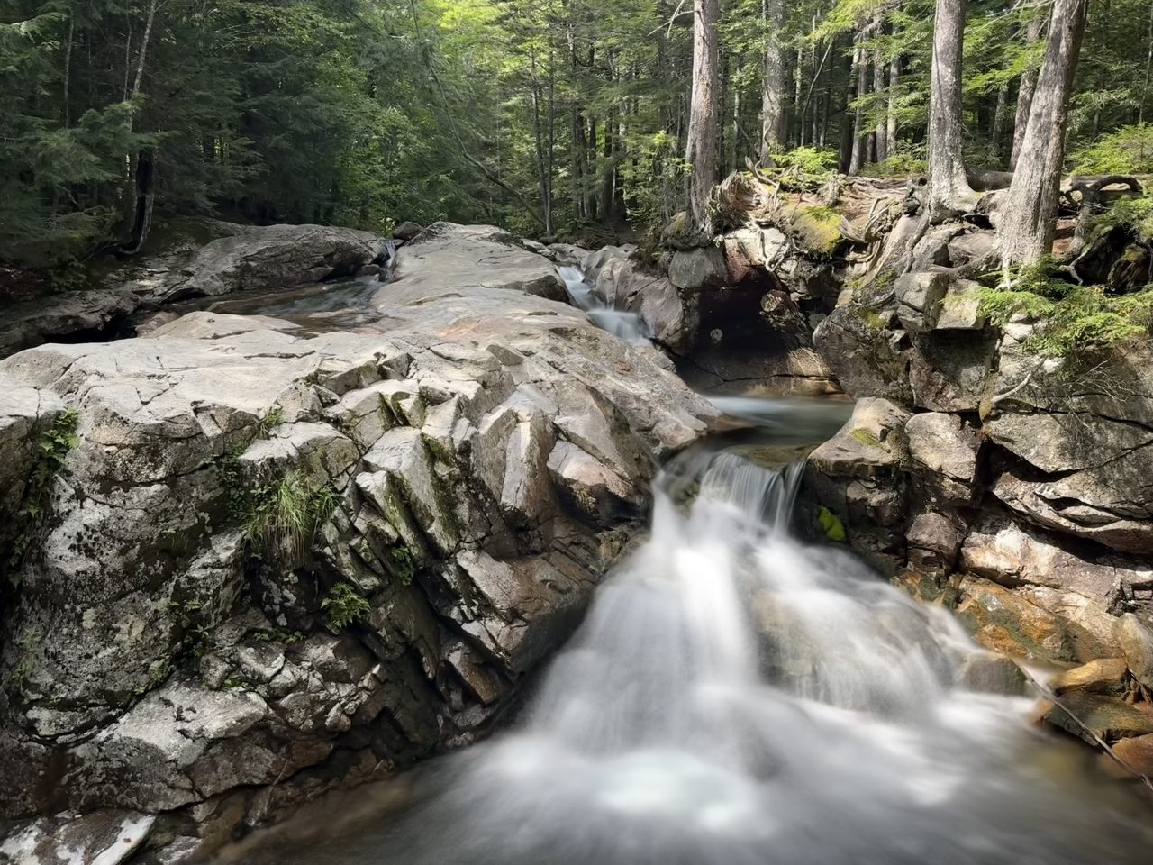 A stream cascading over smooth grey granite ledges in a green forest.